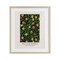 Stupell Industries William Morris Fruit Or Pomegranate Black Framed Print Under Glass, design by Vintage Hustle